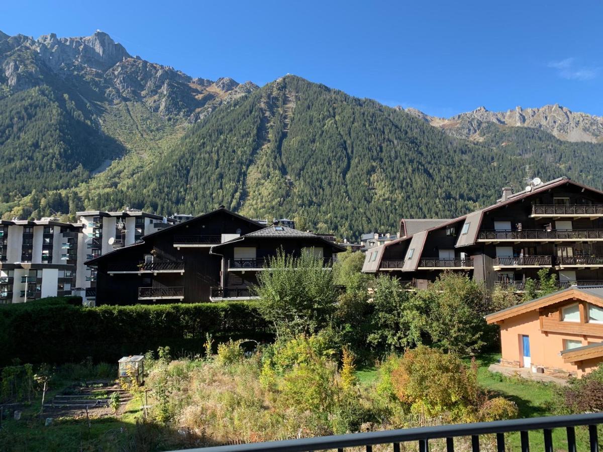 Residence Androsace Du Lyret Chamonix Buitenkant foto